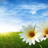 Maxi Yanes SpringSeason Mix 2014