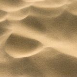 Purple Sandwinds Mix