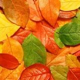 My_October's_Mix