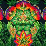 Hypnotic Frequencies Vol 2