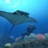 The Lost Deep