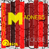 Electronic Madness #009 {House}