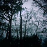 Akim Hash - Autumn Dreamers
