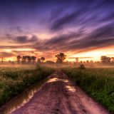The Good Earth 191: Ambient + Chill