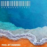 Dubmax - Raumakustik #02