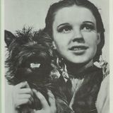 Tin Woodman - In Love With Dorothy - Set