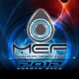 Mega Electronic Fest 2012 (Tiesto Tribute)