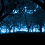 Midnight Mix
