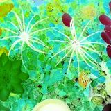 ZET. @DistractAir - Hard Acid Drop Kicks The Ground 20.3.2013