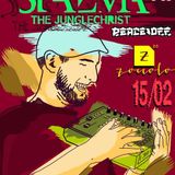 Stazma the Junglechrist @ Zoccolo 2.0 SPb, Russia ("Breakcore Day II" 15-02-2014)