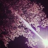 SakuraRemembrances,Ambient Impromptu for Piano No.13