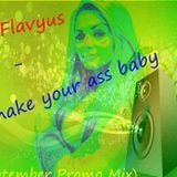 Dj Flavyus - Shake your ass baby (September 2013 Promo Mix)