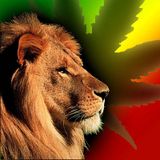 Sweet Reggae