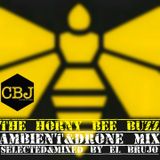 THE HORNY BEE BUZZ - AMBIENT & DRONE MIX by El Brujo