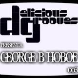 DELICIOUS GROOVES 003 . DJ GEORGE B. HOBOE