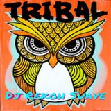 Tribal mix!(Hispanic)