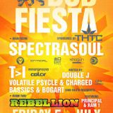 Dub Fiesta Mini Mix 2