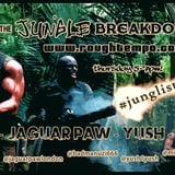 THE JUNGLE BREAKDOWN SHOW Dj Uzi, Yush, Peluso and Jaguar Paw @ www.roughtempo.com 23.07.15