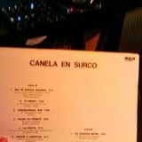 Canela En Surco 021 - Abu Sou b2b Alfred Adler (Cinnamon Disco Special Set) 31/10/2013