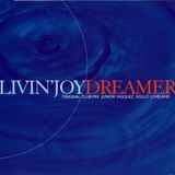 Livin Joy - Dreamer (Robbie Styles Remix)