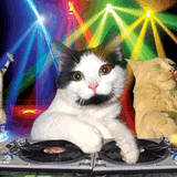DJNoNo - Disco Sickness (Live mix at Crumplstock 2)