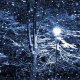 ER - Winter013 Mix (20131216)