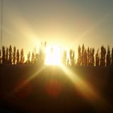 Spring Days