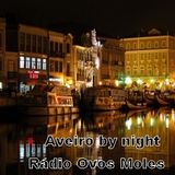 Programa Aveiro by night #1