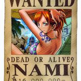 Animix #1 - Nami (One Piece)