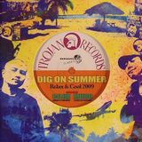 DJ Muro - Cool Side/ Dig on Summer