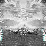 Moonhawk - Deep Mix