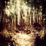 Jungle & HIphop Short Mix