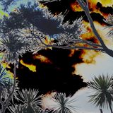 Stinky Grooves 15.12.15 - blooming like pohutukawa