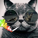 Deep & Tech House Tunes