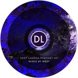 Wezt - Deep Ladoga Podcast 001 (Special Mix For Macromusic)