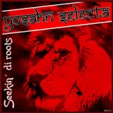 Yosahn Selecta - Seekin di Roots