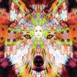 Progressive Trance / Prog - SET November