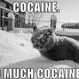 Underiu$ @ Anti-Cocaine Rave Mix