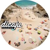 Dicaju 28 - Manutenção Massa