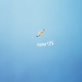 Flegma #25