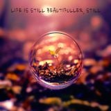 Life Is Still Beautifuller, Still.