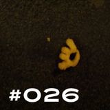 #026 ~ D90 ~ 6th February 2013 ~ Purple Radio