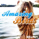 Amazing Birds Vol 1