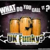 What You Call It - UK Funky 3 - Kingstonflavour