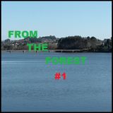 From The Forest #1