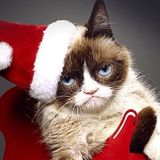 Ozma - Xmas Mix 2015