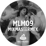 MLM Podcast09
