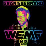 WEMF Mix 2012