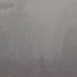 Rain Mind