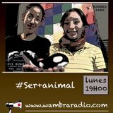 Ser más Animal 15 - 09 - 2014